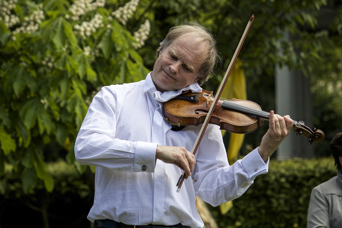 Dubach spielt zwischen Margeriten. Bild: Selina Wittwer
