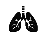111 Menschen warten auf eine Lunge.