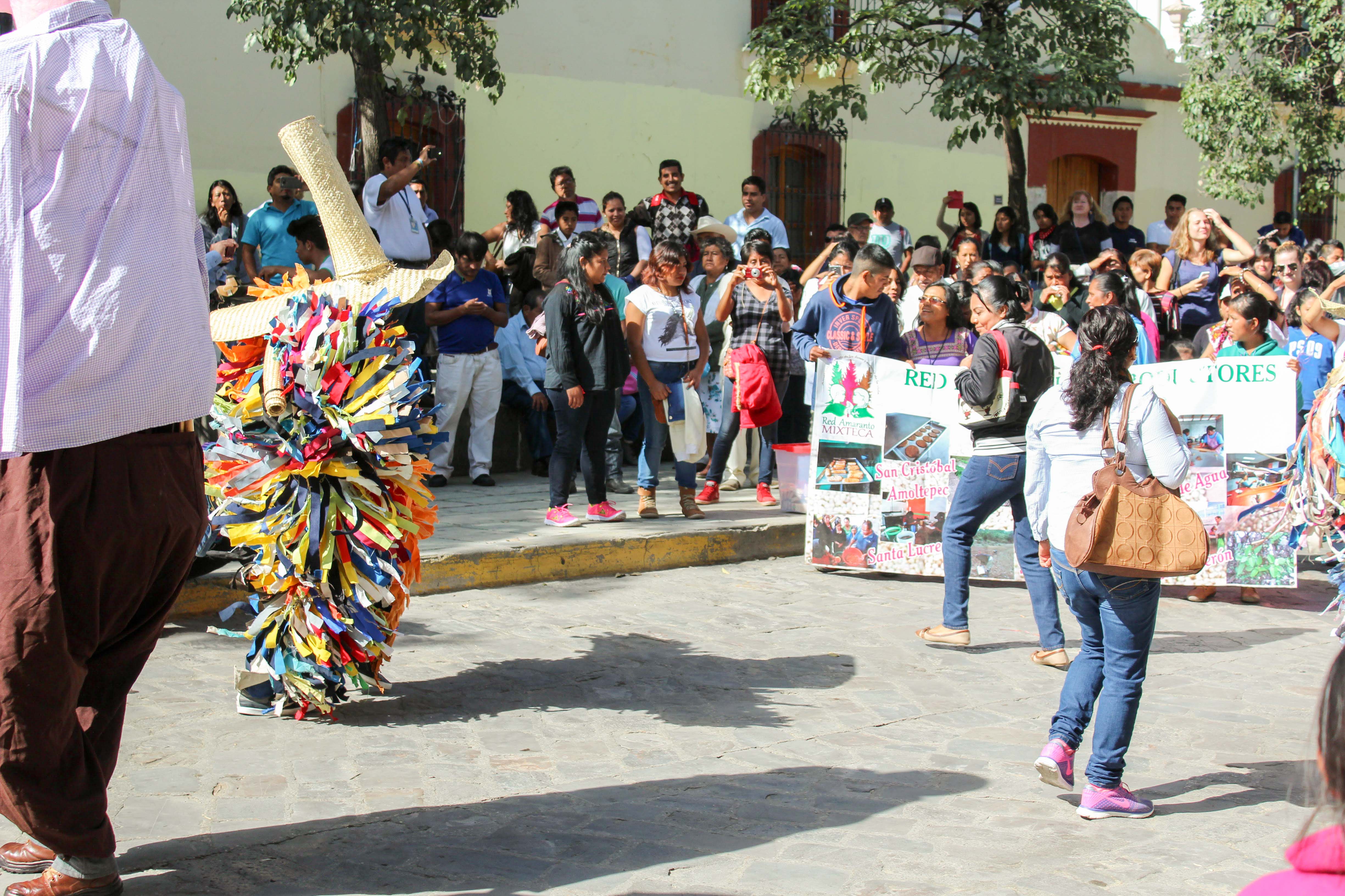 Mexiko gemeinsam kennen lernen. Zum Beispiel einen «calenda» ein Umzug, oft von indigenen Völkern. – Bild: Annina Reusser