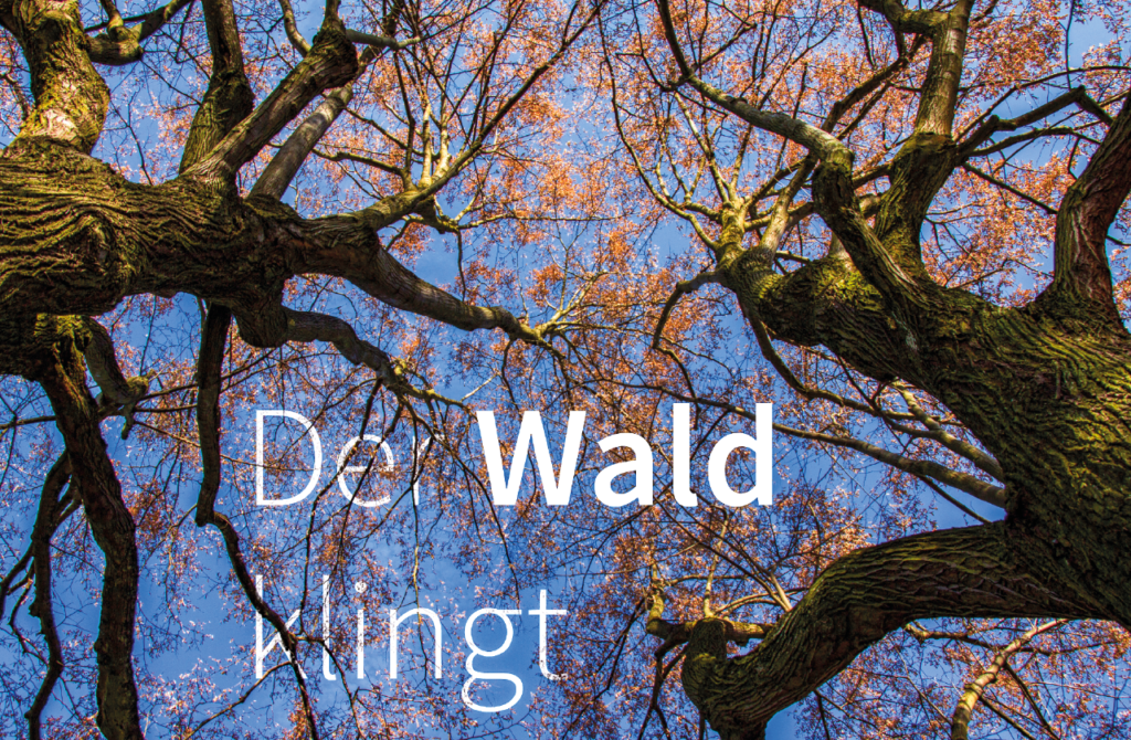 large-image Bildschirmfoto 2017-04-20 um 14.54.06