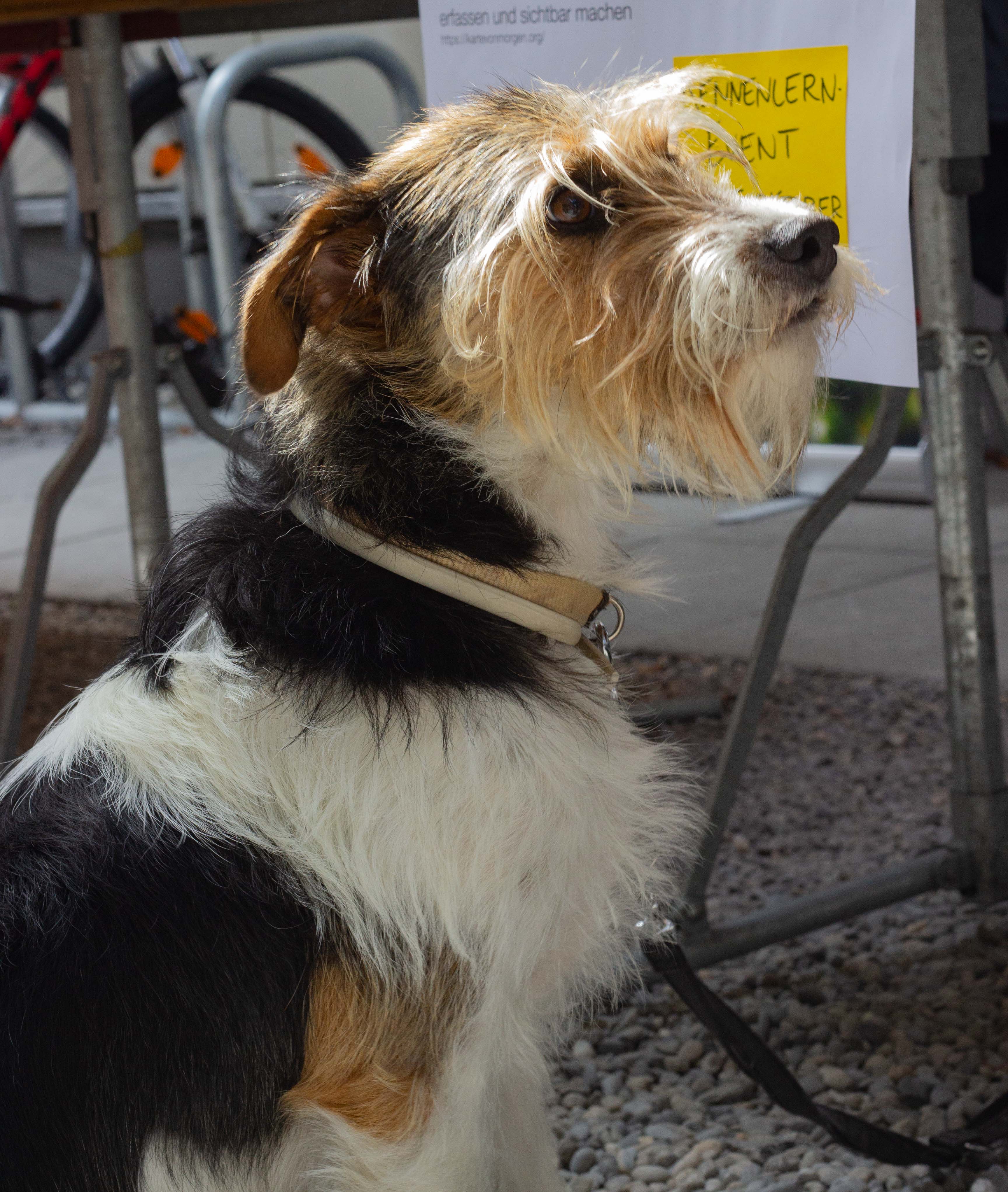 Generationenfestival: Einfach nur wow!