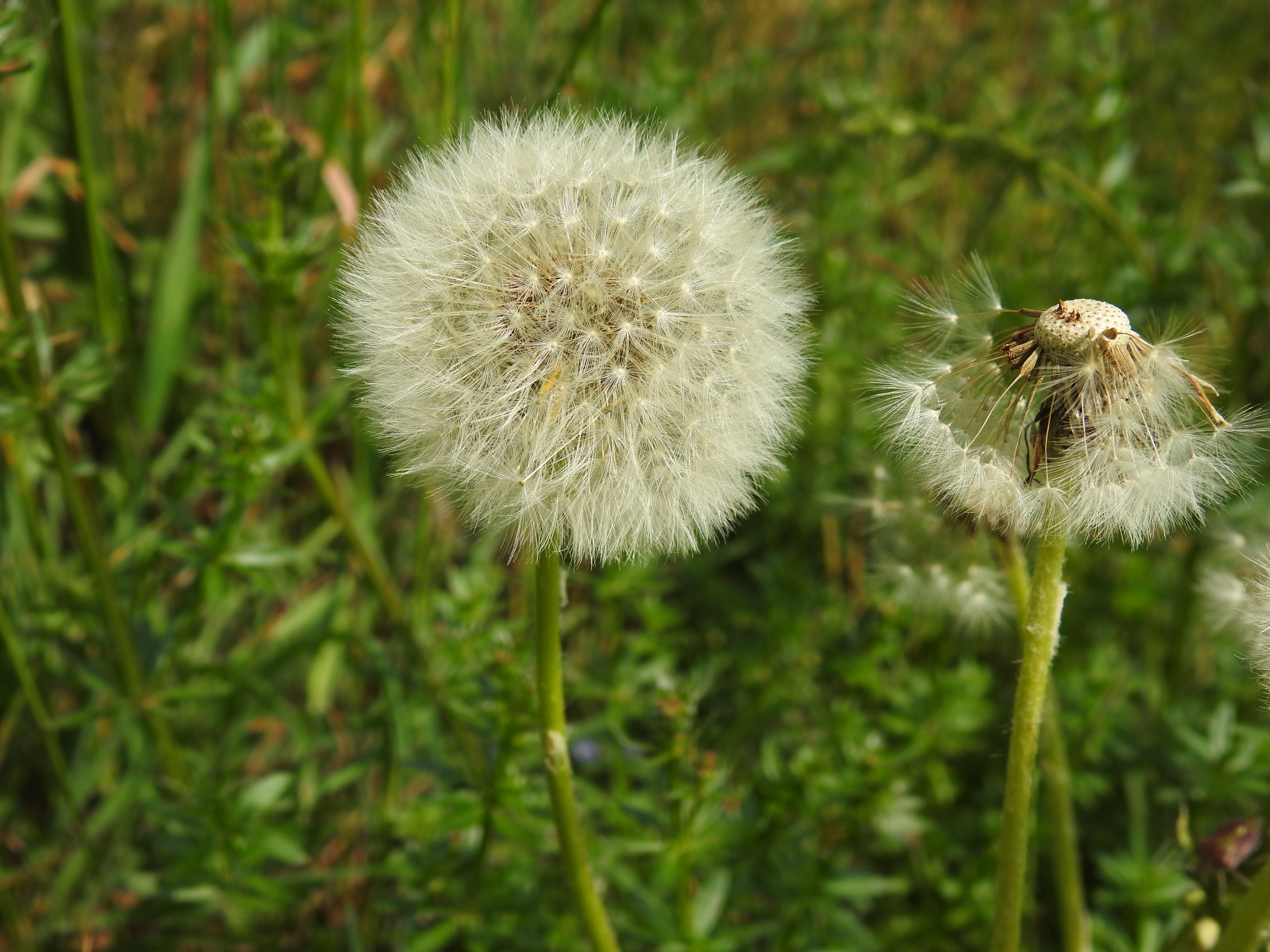 Meine Geburt und mein Tod