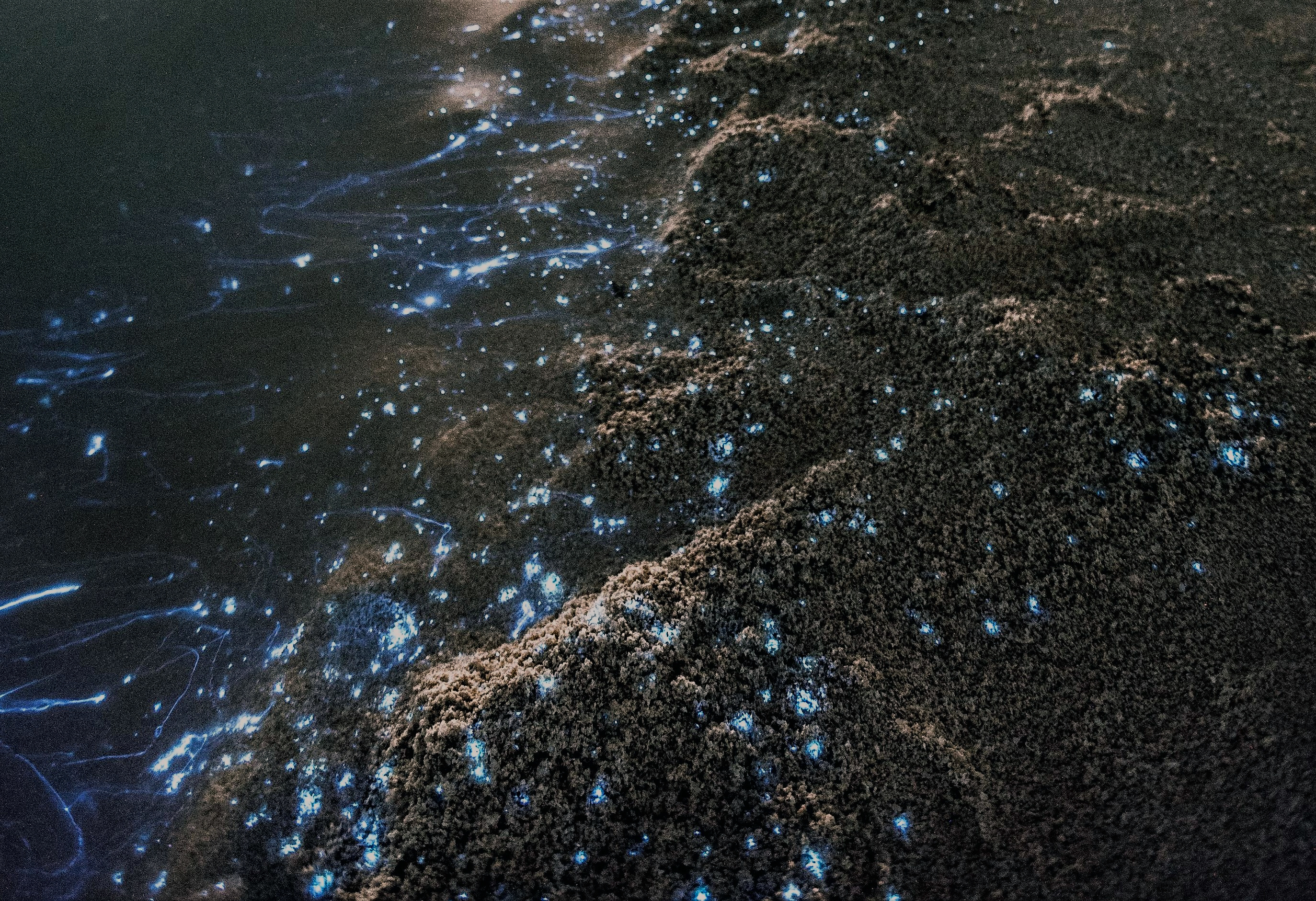 Hell und Dunkel – ein sinnliches Erlebnis