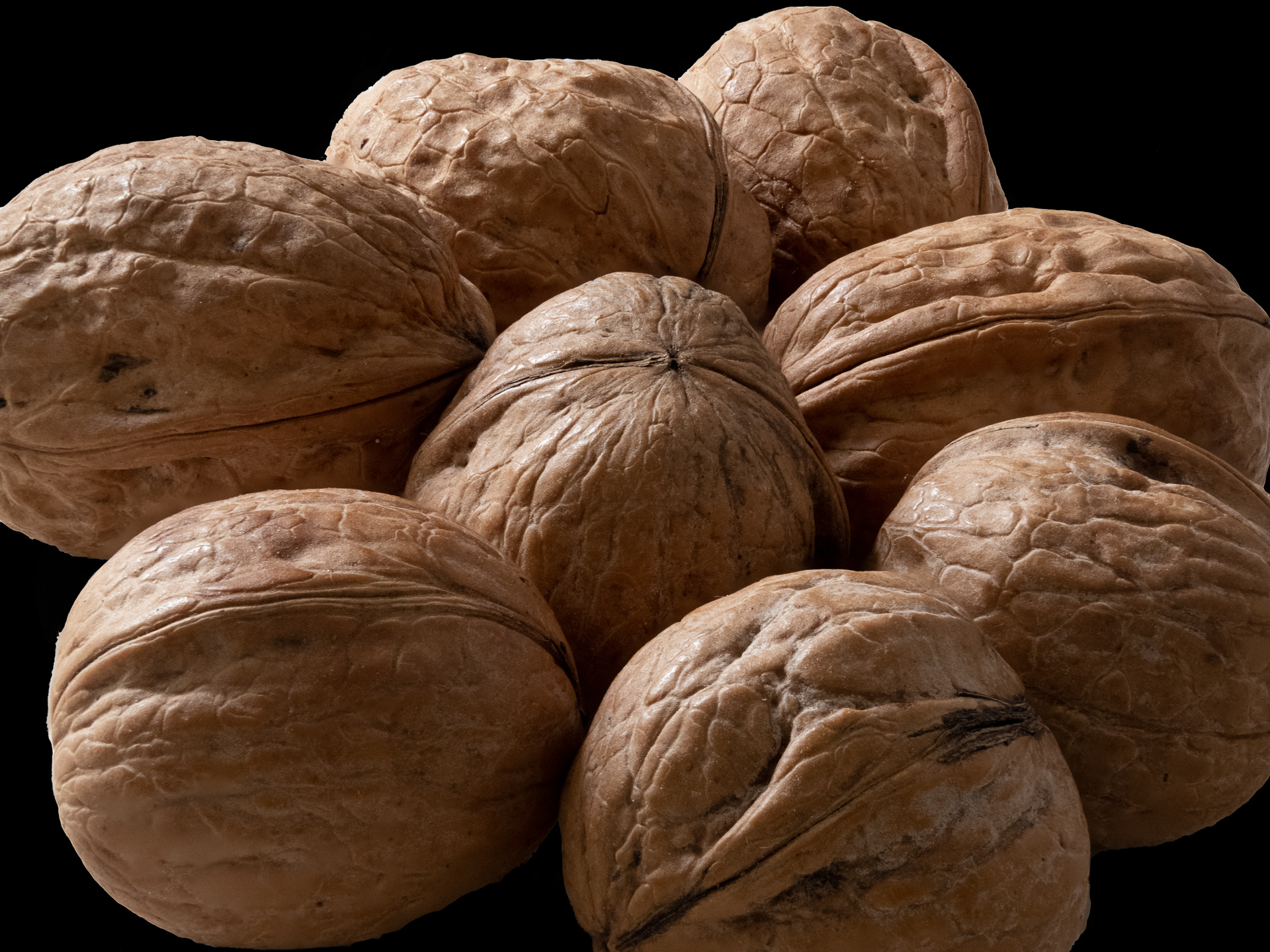 Fotokurs für Fortgeschrittene