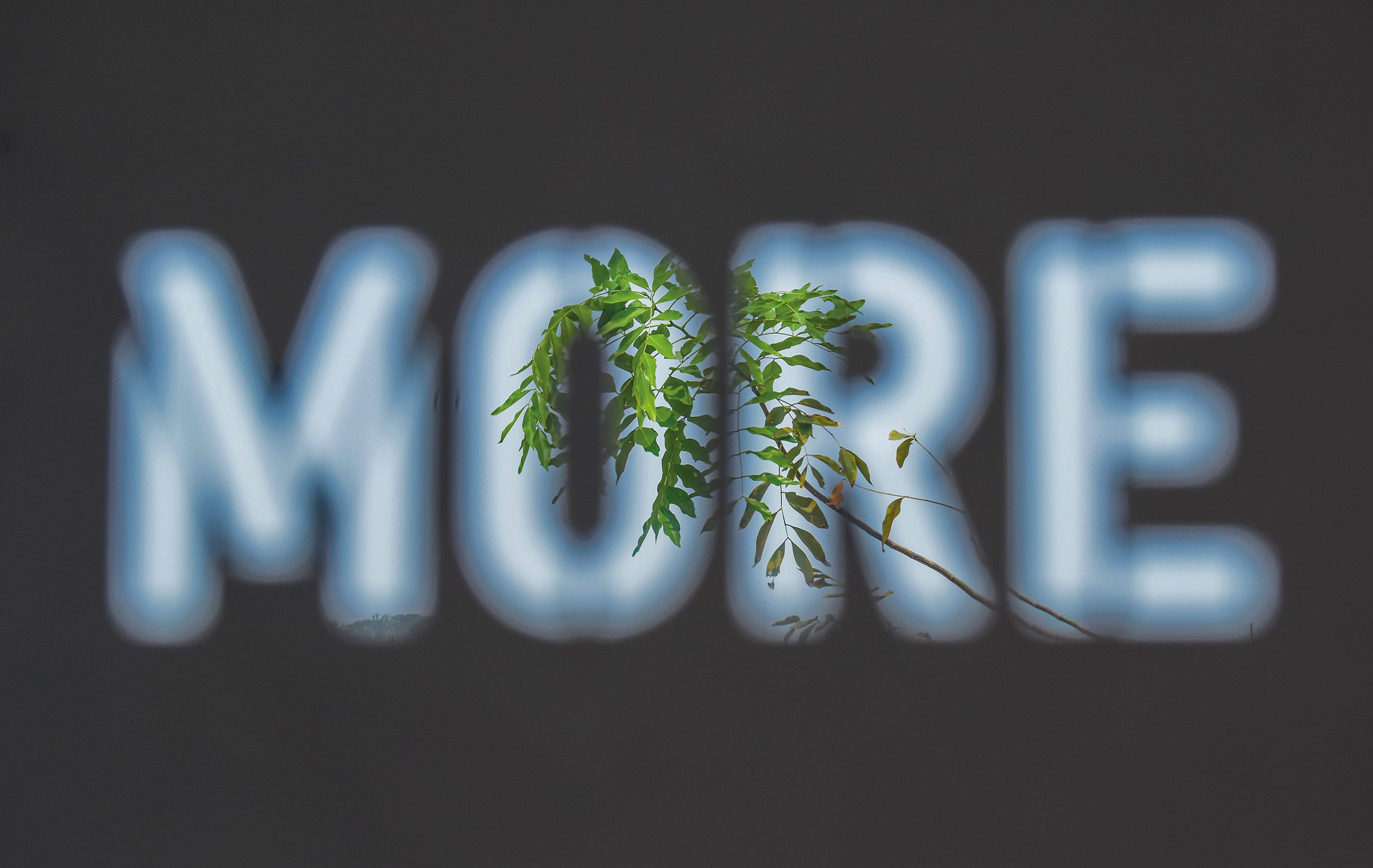 Optimieren wir uns zu Grunde?